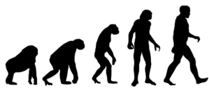 evolution